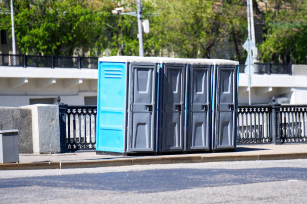 Best Portable Toilets with Baby Changing Stations  in Strawberry Point, IA